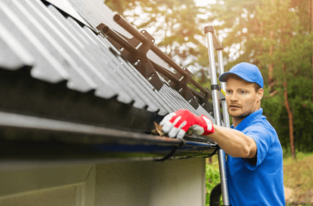 tinley park gutter service